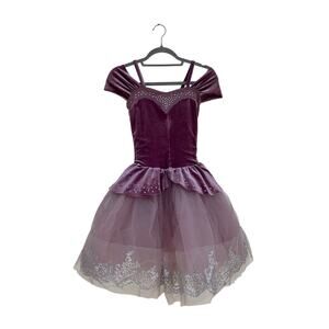 Weissman Ballet Dress, Princess‎ Costume, Purple Tutu & Velvet, Sz Large Child